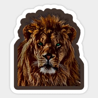 African Lion Head Full Sticker